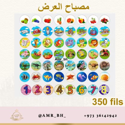 Projection Light مصباح العرض - Image 10